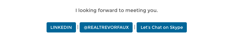 Example Website Skype Button